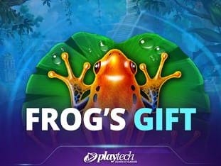 Frogs Gift